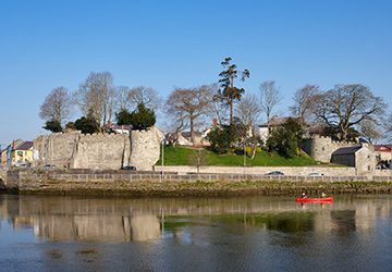 Cardigan Castle project
